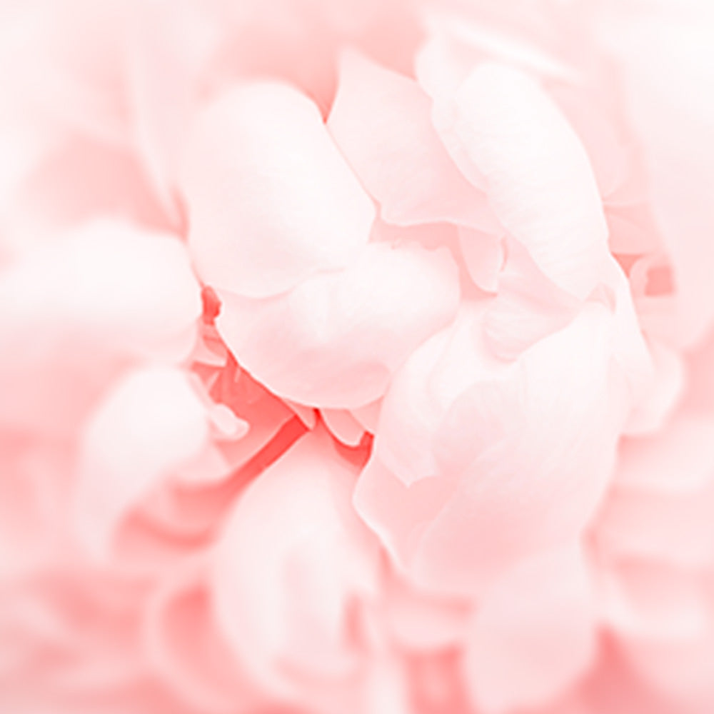 peonia